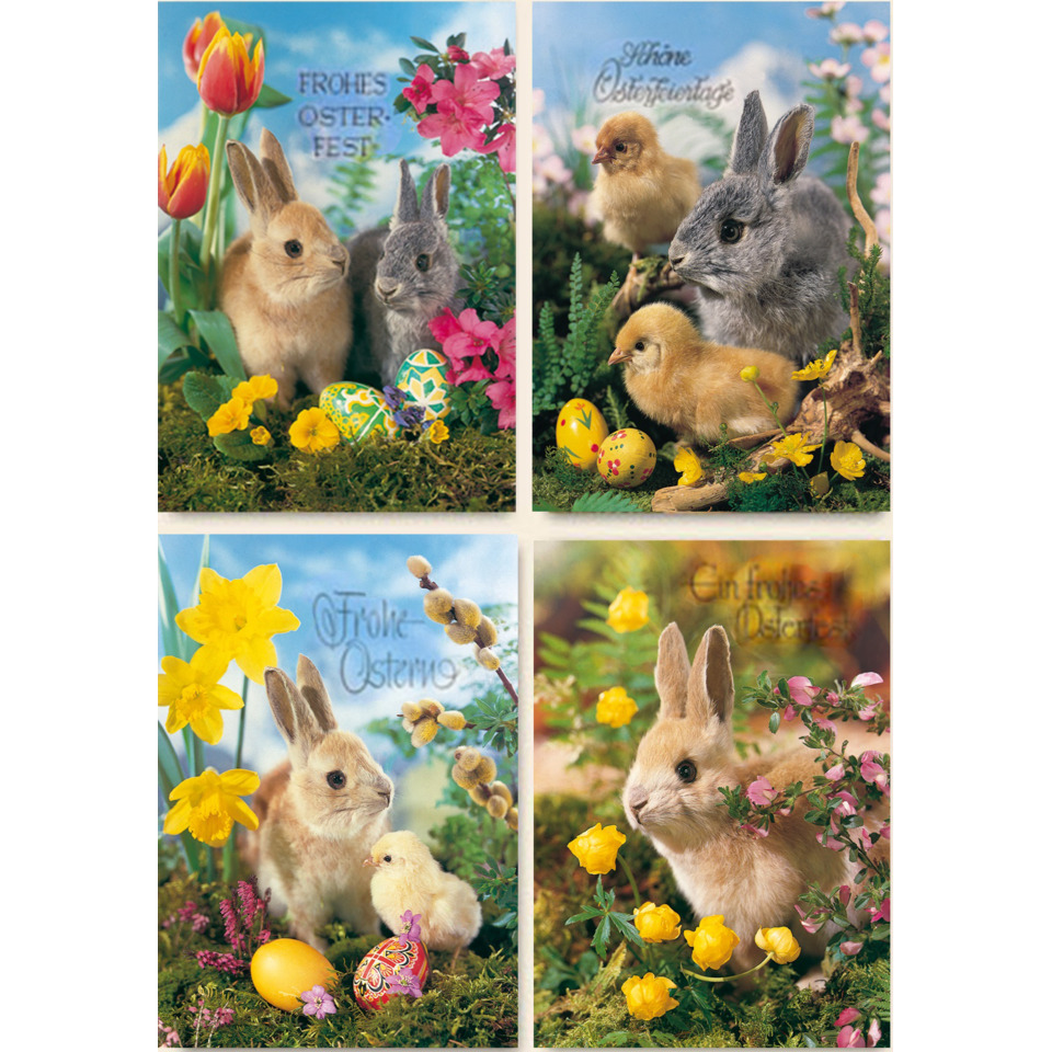 ostern, ostereier, hasen, osternest, hase