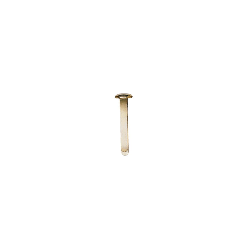Butterfly, Ohrring, Gold, Steckverschluss, Minimal