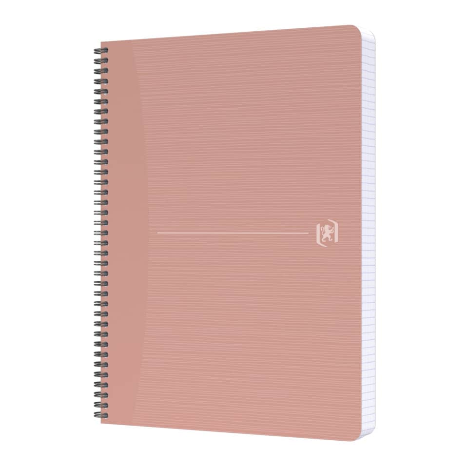 Tagebuch, Buch, Veröffentlichung, Seite, Text