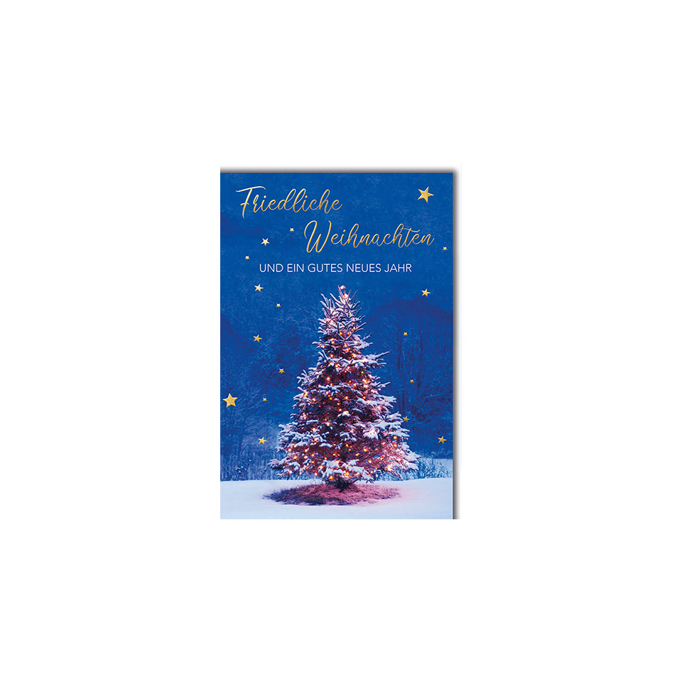 Baum, Weihnachten, Weihnachtsdekorationen, Festival, Weihnachtsbaum, Pflanze, Baum, Weihnachtsdekorationen, Festival, Weihnachtsbaum