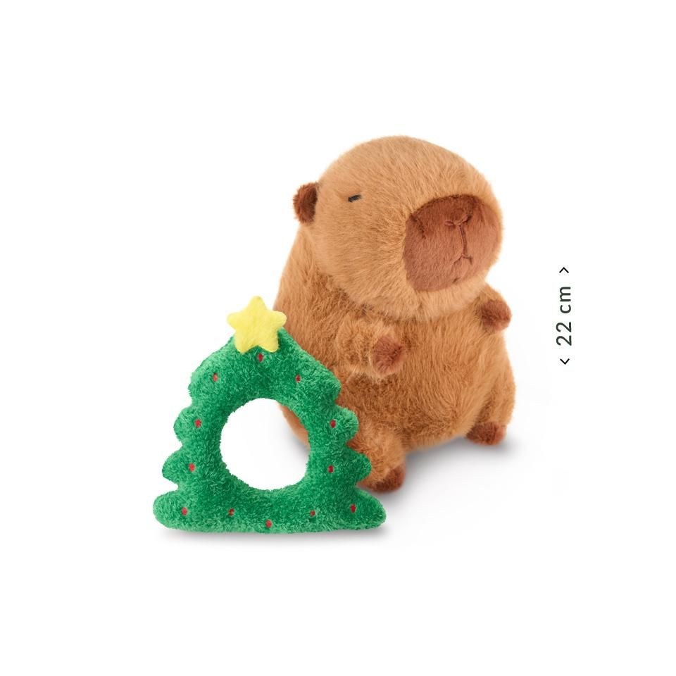 Plüsch, Spielzeug, Bär, Säugetier, Tierwelt