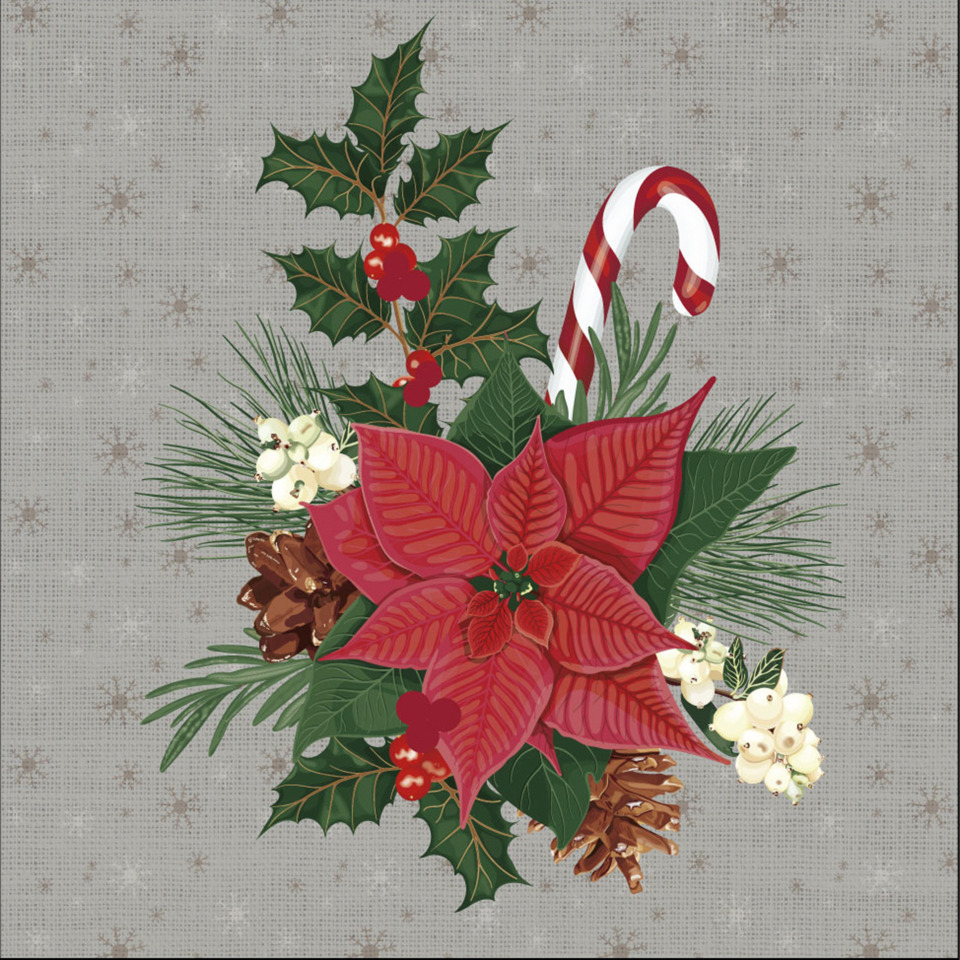 Weihnachtsdeko, Poinsettia, Zuckerstange, Tannenzweige, Kiefernzapfen