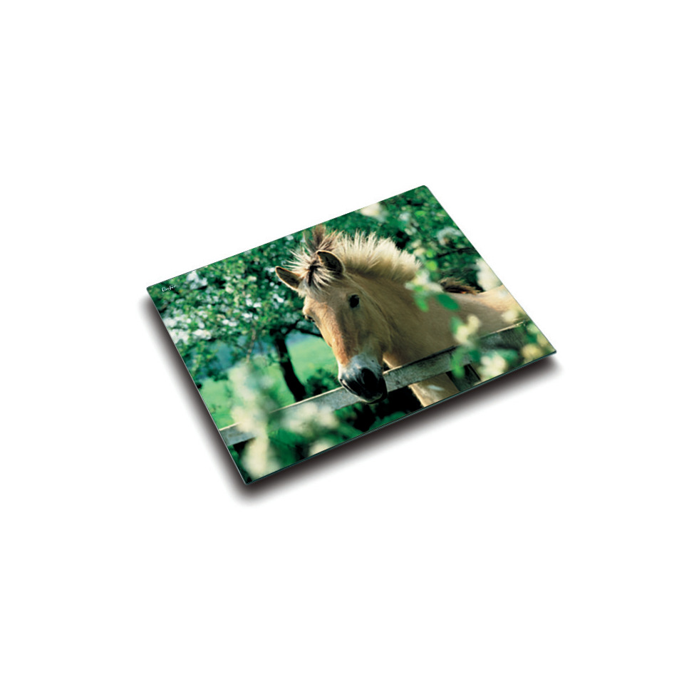 Pferd, Stallzaun, Natur, Wald, Tier