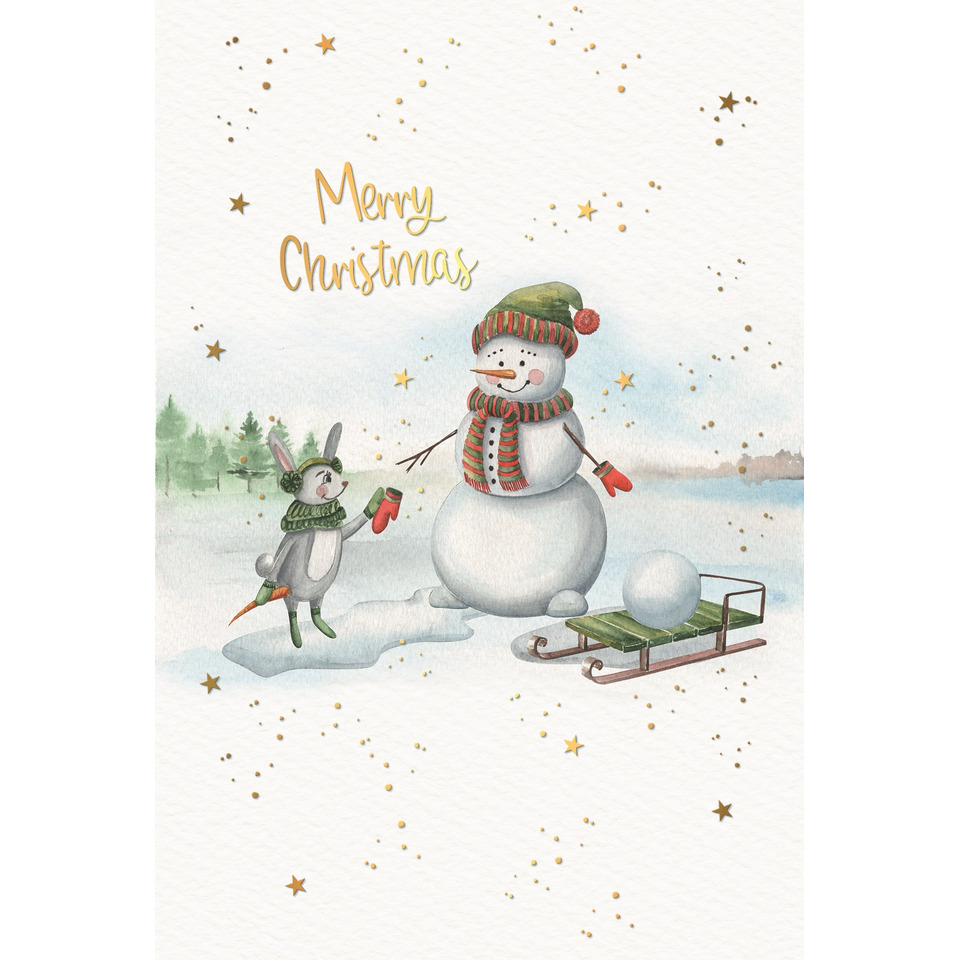 Natur, Im Freien, Winter, Schnee, Schneemann, Natur, Im Freien, Winter, Schnee, Schneemann