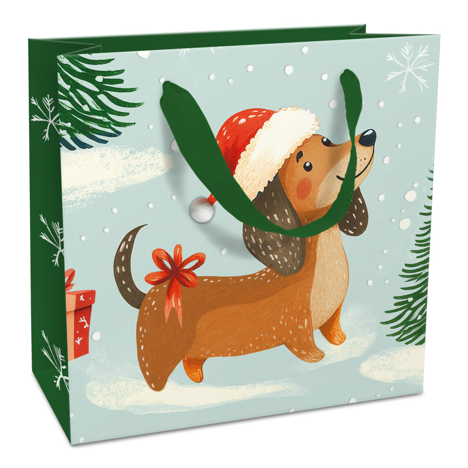 Hund, Winter, Schnee, Geschenkverpackung, Santa Hut