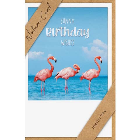 Geburtstagskarte Nature Card BSB 69-1041-2