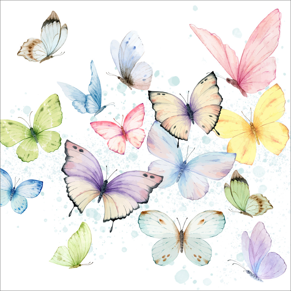 Schmetterlinge, Schmetterling Muster, Bunte Falter, Flügeltiere, Motiv Butterflies