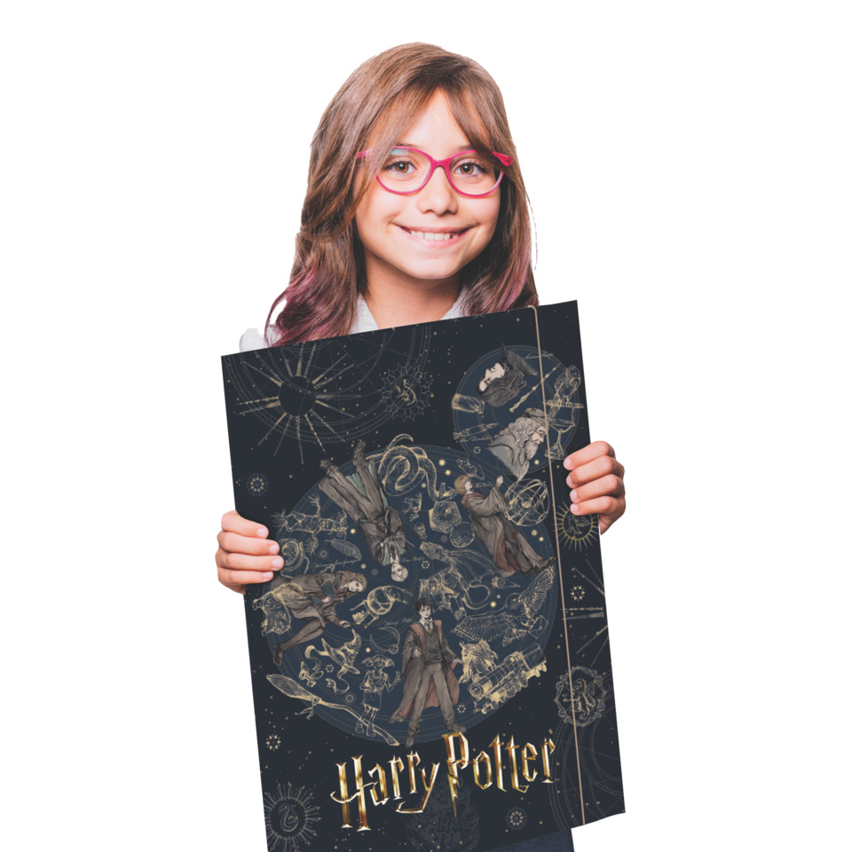 Art, Poster, Harry Potter, Illustration, Print