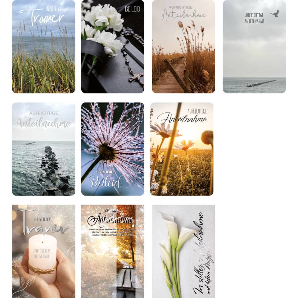 Collage, Blume, Blütenblatt, Himmel, Buch