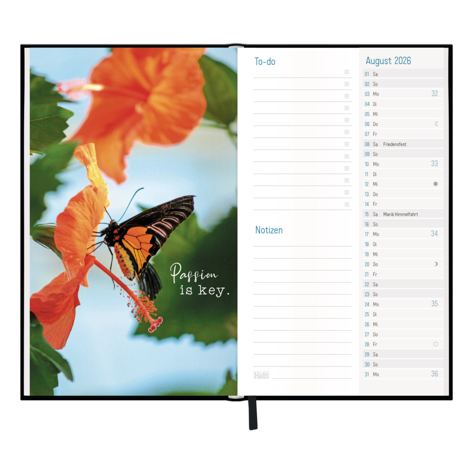 Schmetterling, Blume, Schmetterling_Motiv, Natur, Farbenkontrast