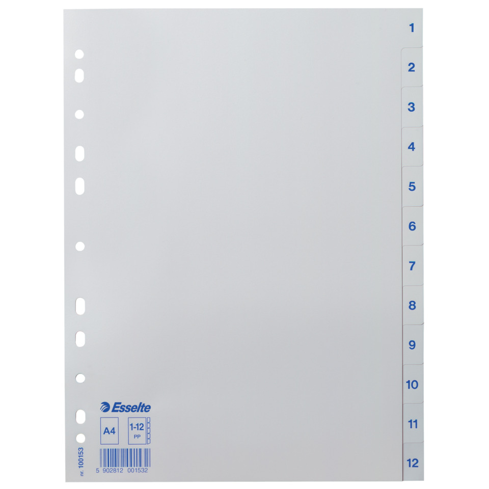 A4, Papier, Ordnerseite, Ringbindung, Einzelfalz
