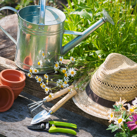 Garten, Natur, Im Freien, Zinn, Gartenarbeit