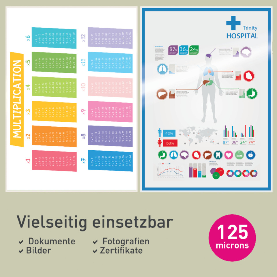 Infografik, Poster, medizinische Diagramm, Menschenkörper, multicolor