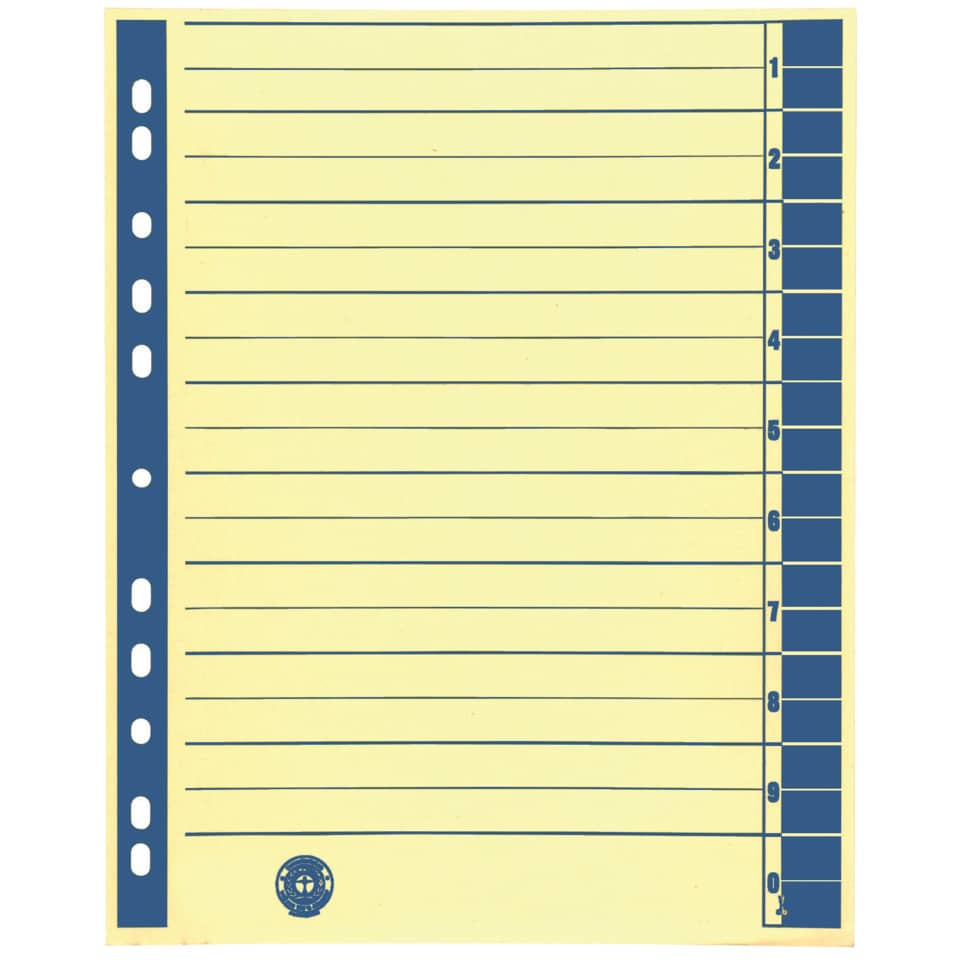 notebook, lined paper, punch holes, yellow, blue margin