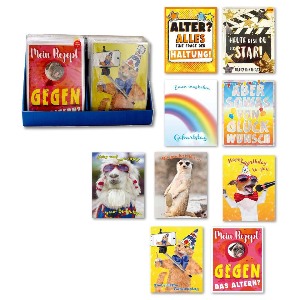 Bär, Säugetier, Tierwelt, Hund, Haustier, Affe, Wildtiere, Hund, Haustier, Person