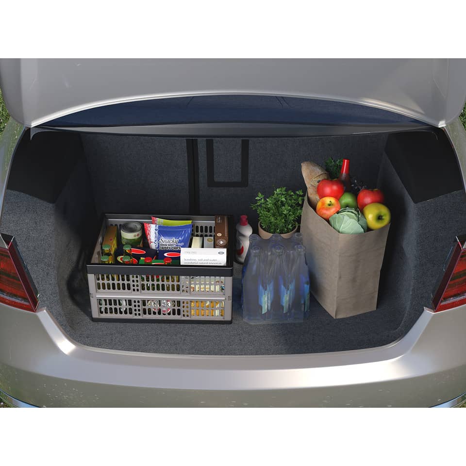 Auto, Kofferraum, Transport, Fahrzeug, Pflanze