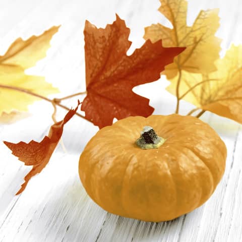 Motivserviette Herbst, 33 x 33 cm, 3-lagig PAPER+DESIGN 207455