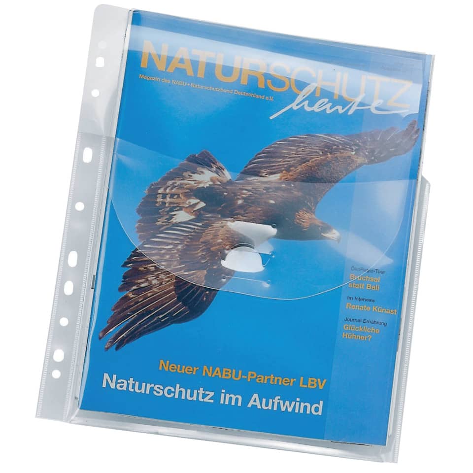 magazin, cover, falke, blau, naturschutz