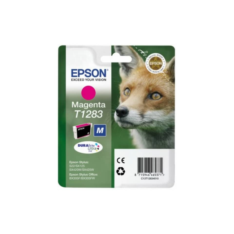 Hund, Haustier, Fuchs, Tierwelt, Bausatz Fox