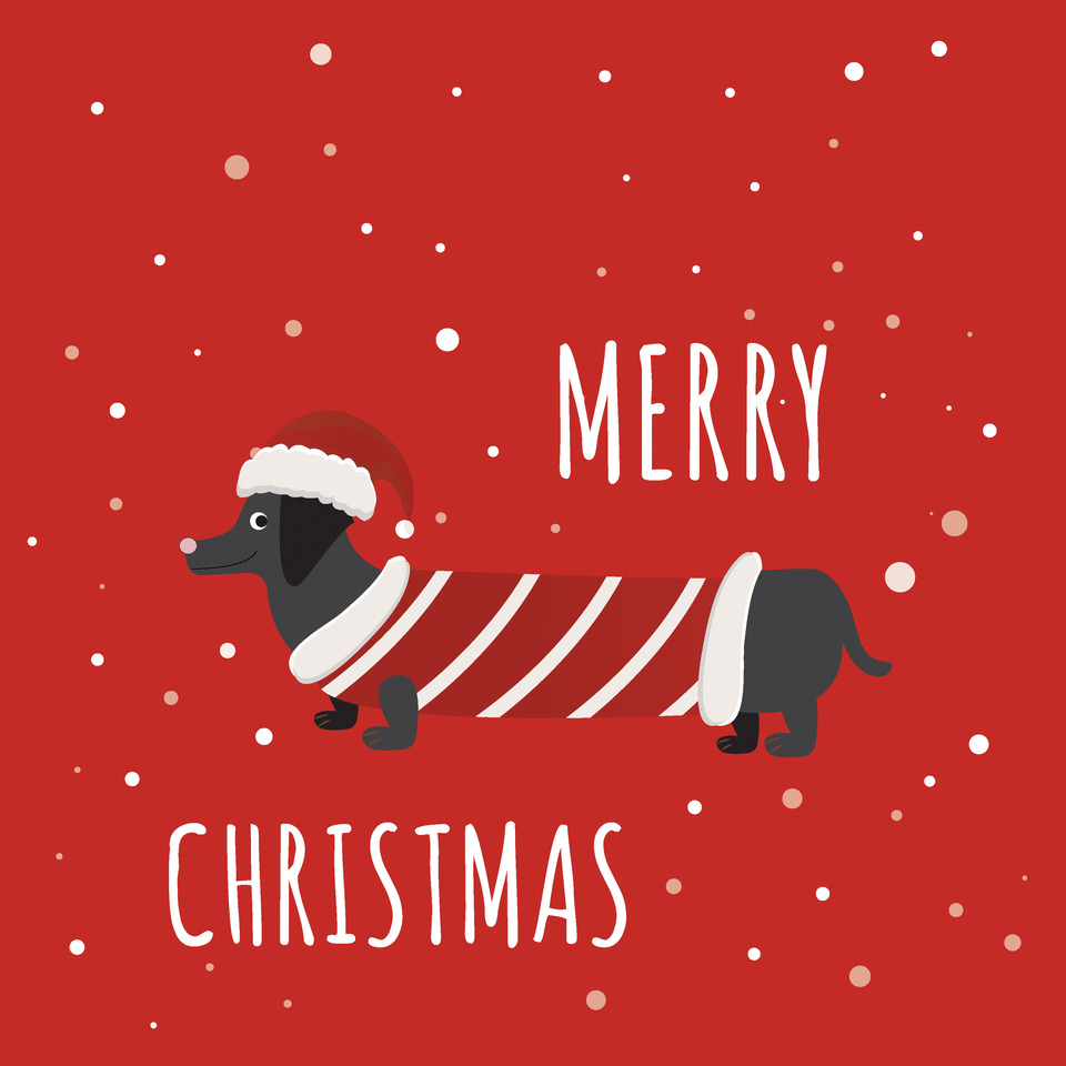 Grusskarte, Post, Buch, Vogel, Werbung, Briefumschlag, Grußkarte, Post, Werbung, Plakat, Grusskarte, Post, Werbung, Buch, Veröffentlichung