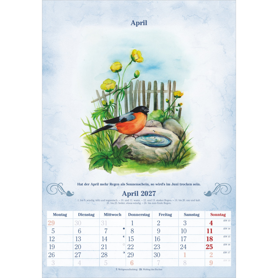 roter Vogel, Gartenbrunnen, Blumen, Zaun, Kalender