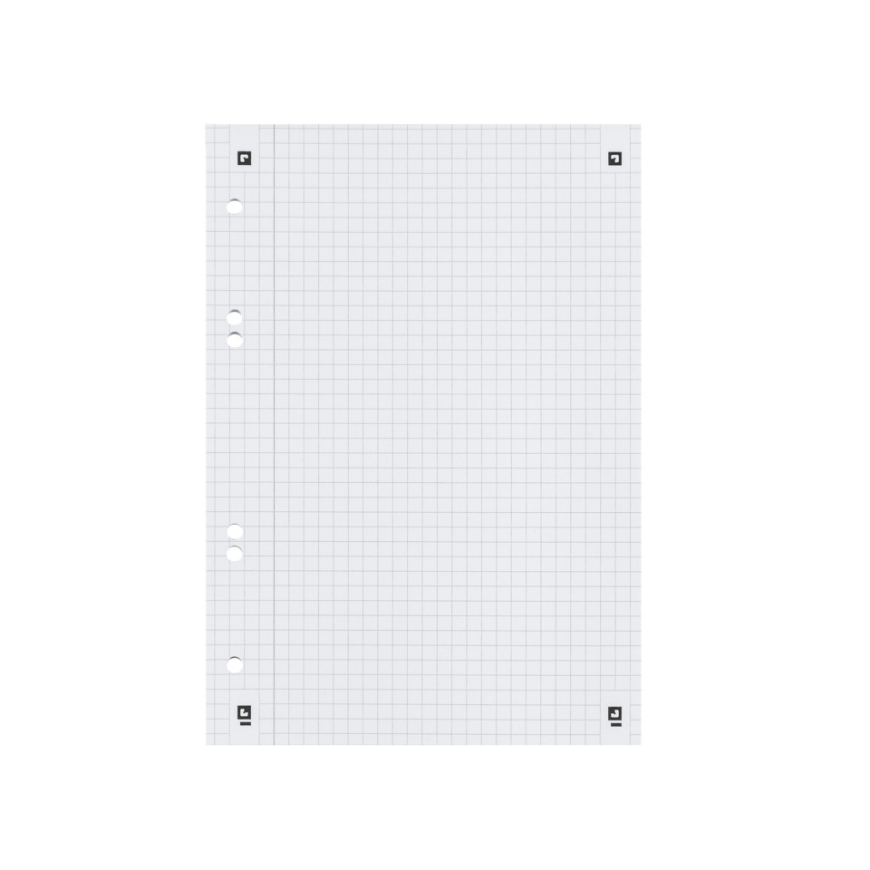 Stück Graph-Papier, Gitterpapier, Lochungen, Quadrate, A4-Größe