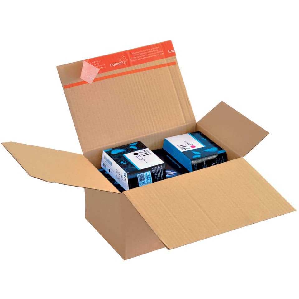 Kartonbox, Verpackung, Tintenpatronen, Kühlmittel?, Lieferverpackung
