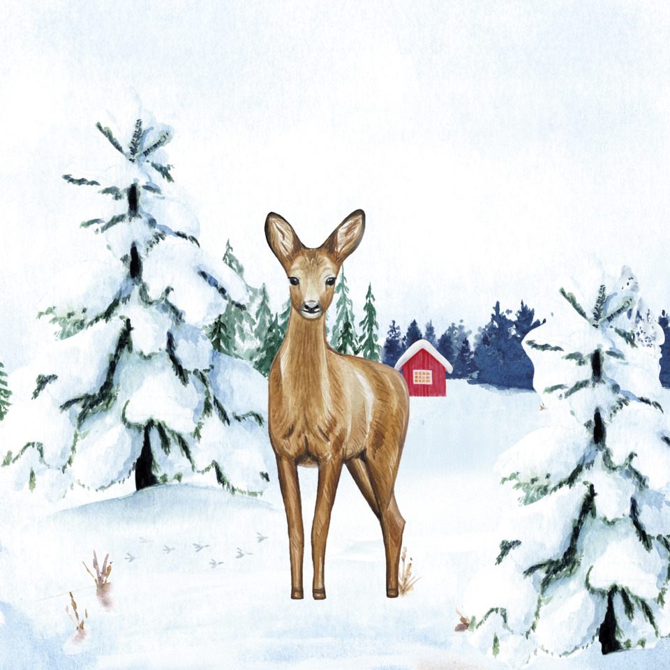Reh, Winterlandschaft, Schnee, Wald, Hütte