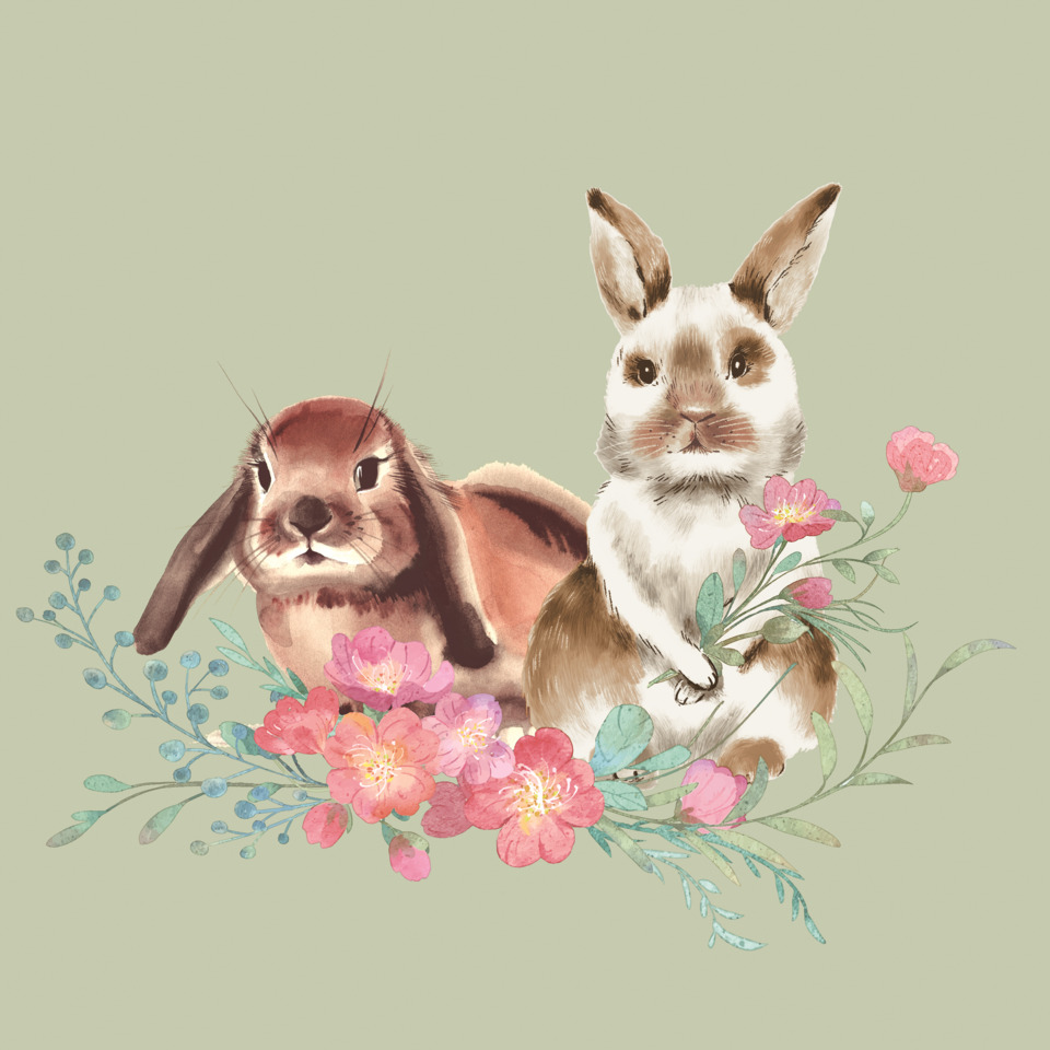 Häschen, Kaninchen, Tierillustration, Blumen, Pastellfarben