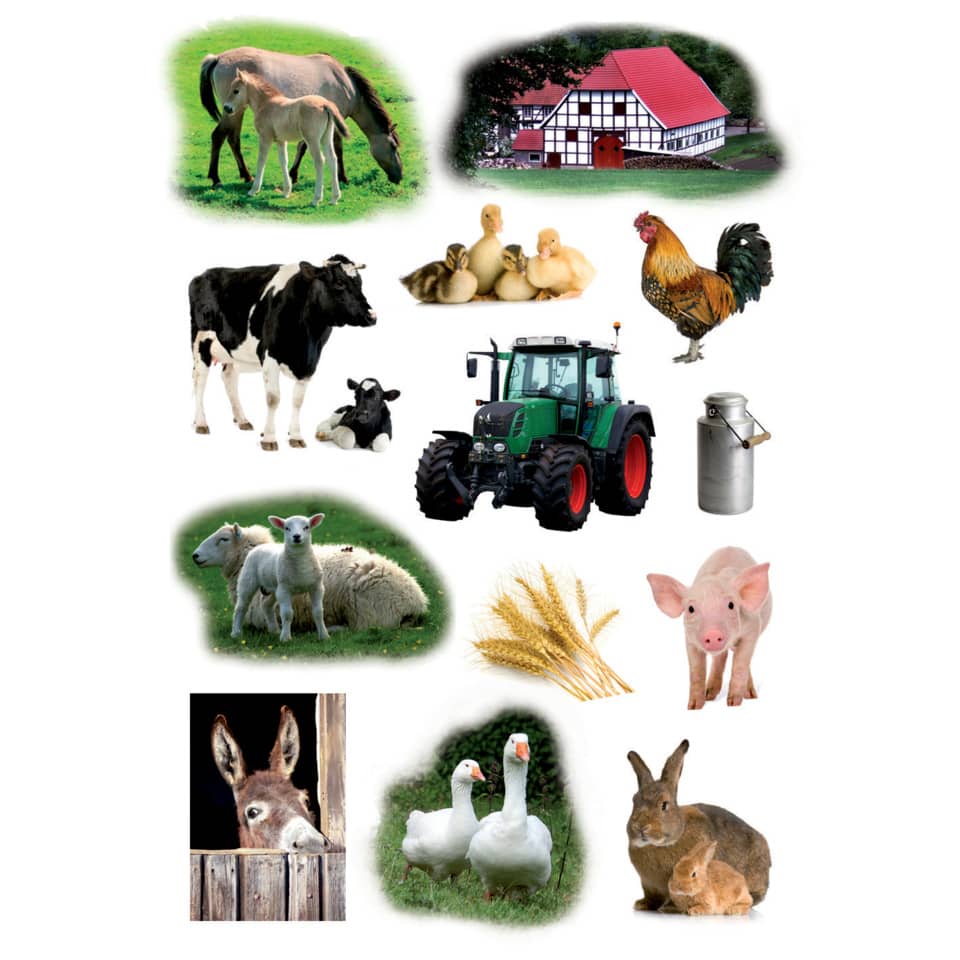 Pferd, Kühe, Hühner, Traktor, Milchkanne