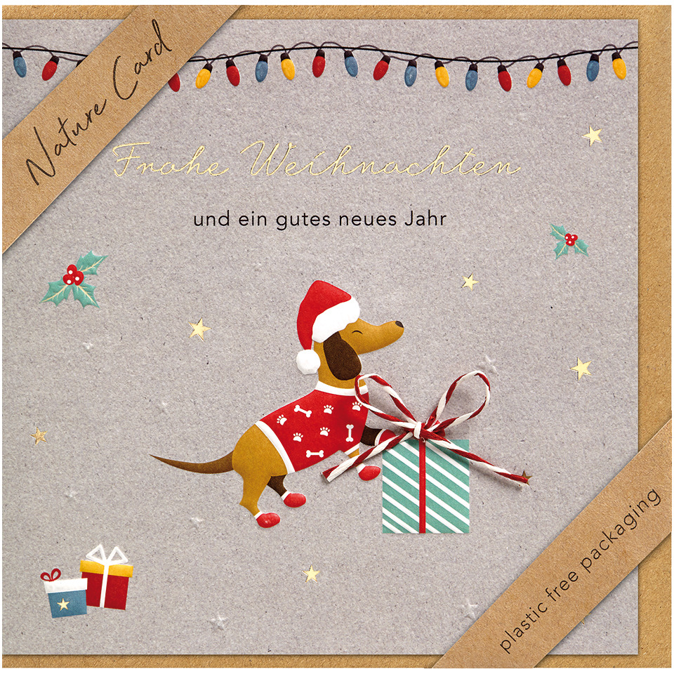 Hund, Santa-Hut, Weihnachtskarte, Geschenk, Verpackung
