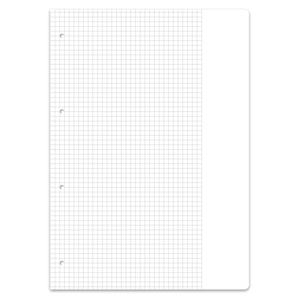Grid sheet, Notizblock, A4, Linienloser Rand, Lochung vorhanden