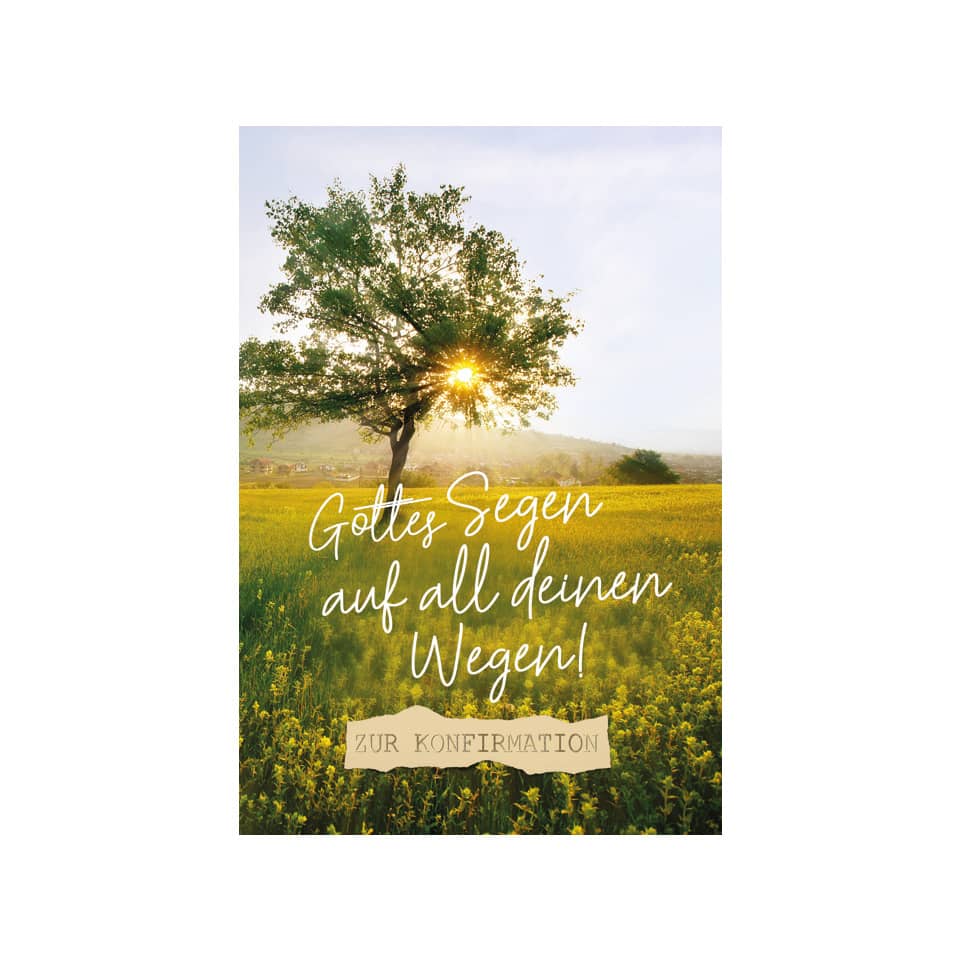 Baum, Feld, Grünland, Im Freien, Buch, Feld, Grünland, Baum, Landschaft, Himmel