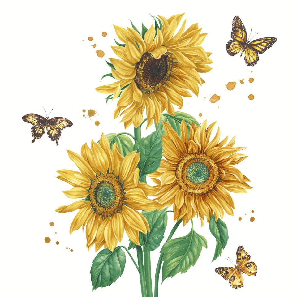 Blume, Pflanze, Sonnenblume