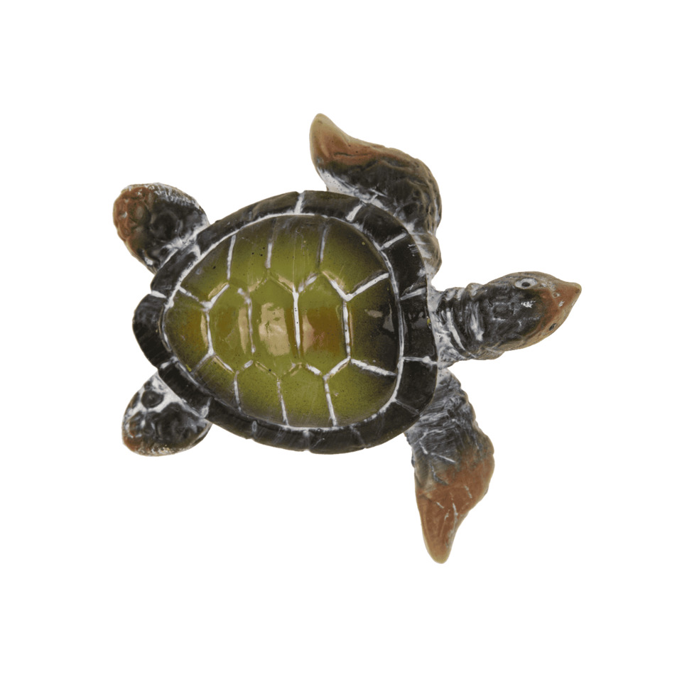 Schildkröte, Spielzeug, Tier, Grün, Turtle