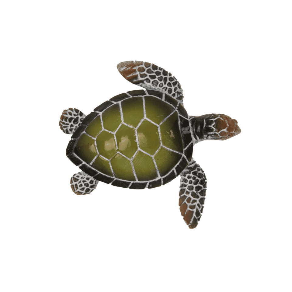 schildkröte, meeresschildkröte, grüne schale, haustier spielzeug, plüsch oder plastikschildkröte