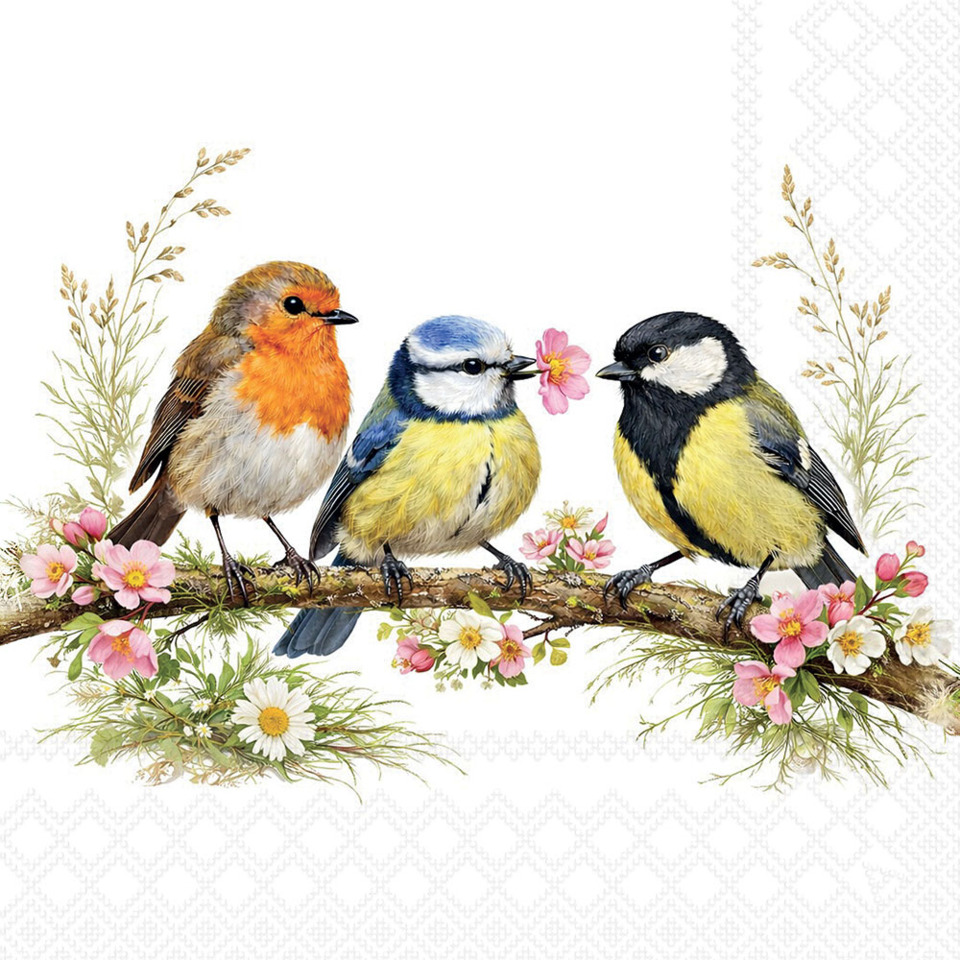 Vögel,  Kardinal,  Blaustirnchen,  Haubenmeise,  Frühlingsmotiv