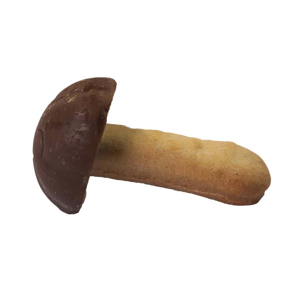 Champignon, Pilz, kleine Schokolade, braun, Stiel