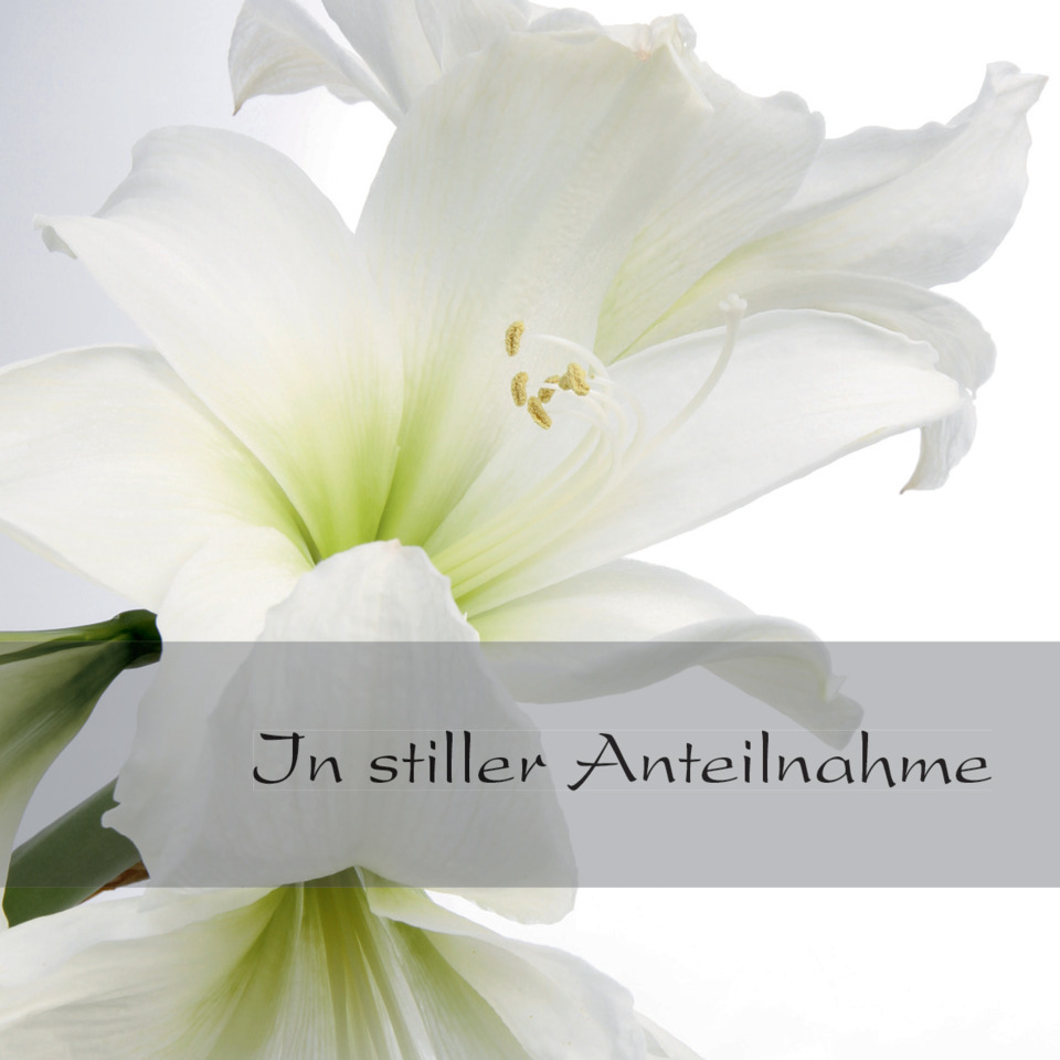 Blume, Weiß, Lilie, Große Blüte, Gedenkkarte