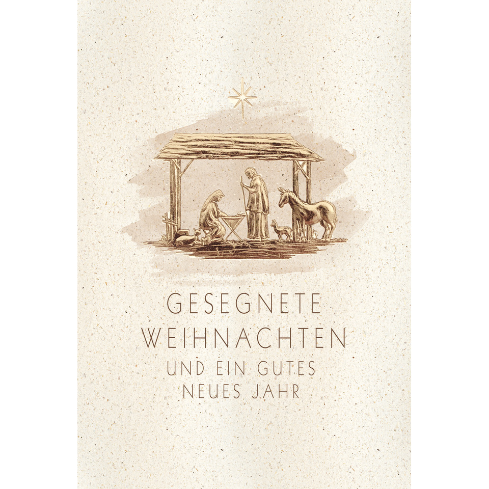 Person, Tier, Pferd, Säugetier, Person