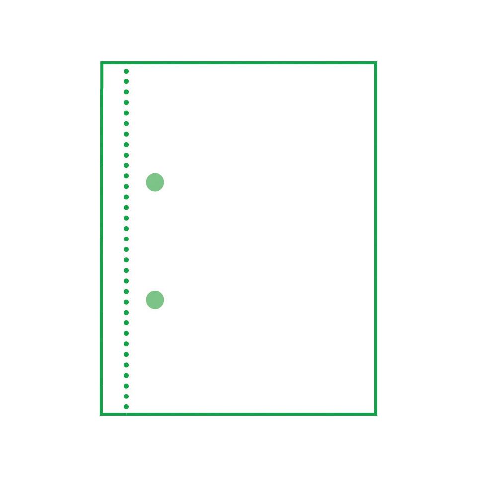 notebook, ring-bound, dots, green, liner