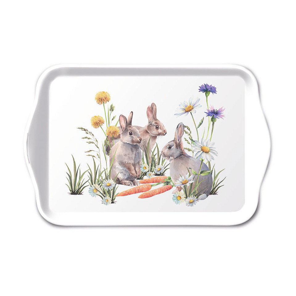 Tier, Känguru, Säugetier