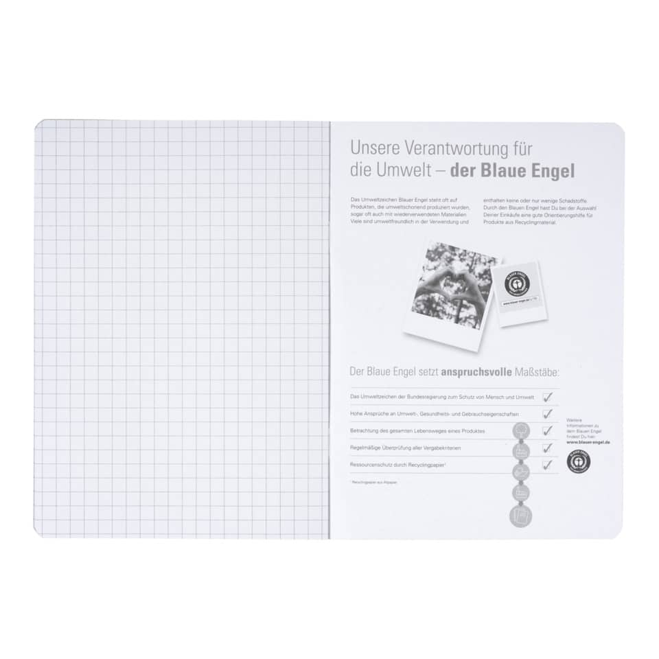 Notizbuch, Gitterpapier, linke Seite, rechte Seite, Designlayout