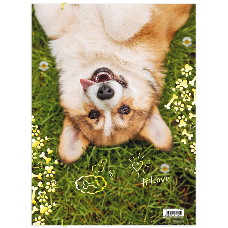 hund, haustier, hunde-foto, gras, süß