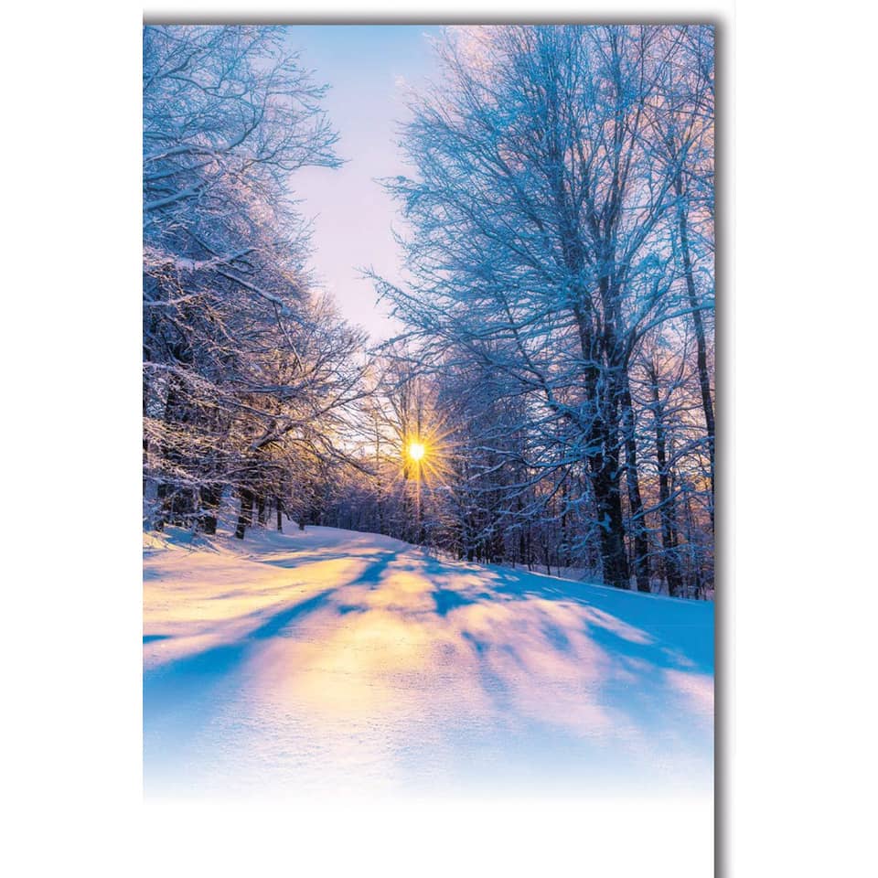 Natur, Im Freien, Szenerie, Himmel, Vegetation