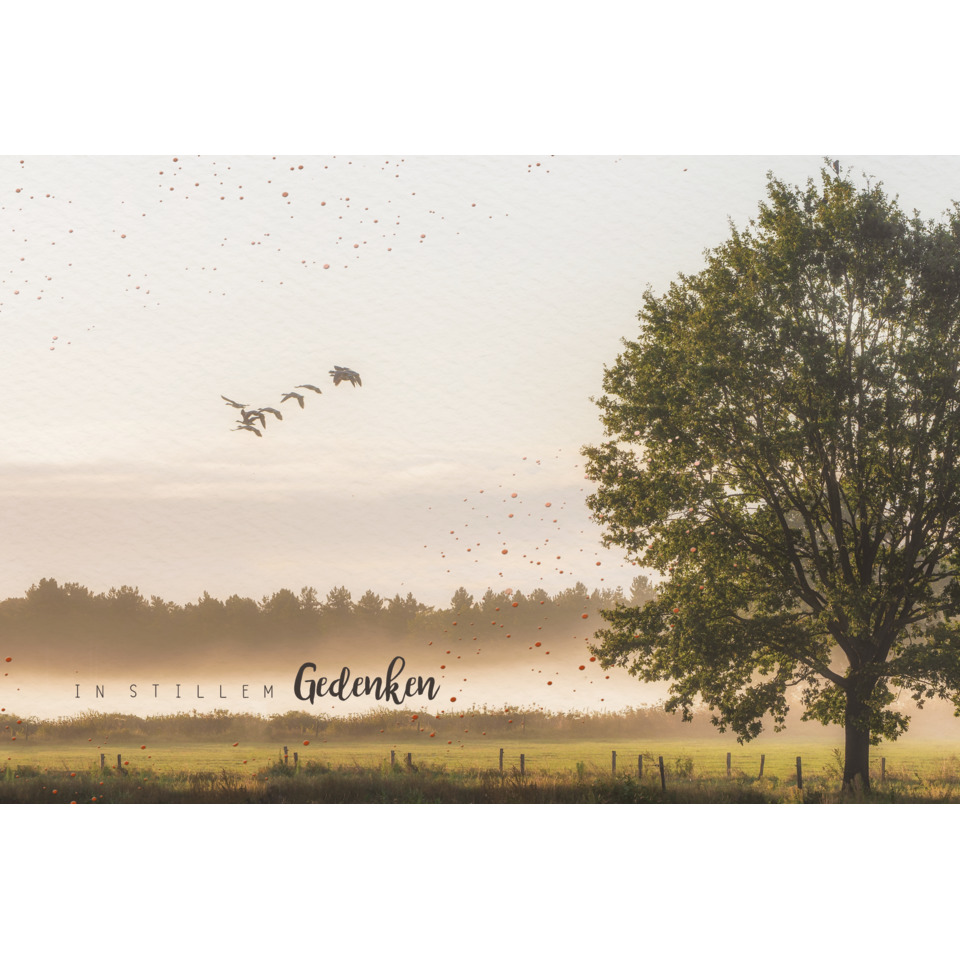 Landschaft, Baum, Vögel, Gedanke, Gedenkbild