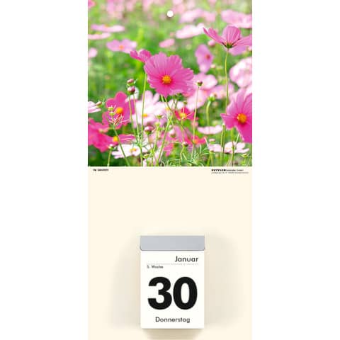 Kalenderrückwand für 301 und 302, Blumen sortiert ZETTLER 660063