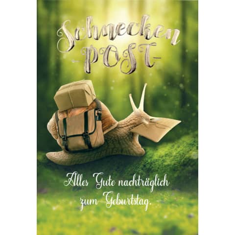 Geburtstagskarte Nachträglich  56-1131
