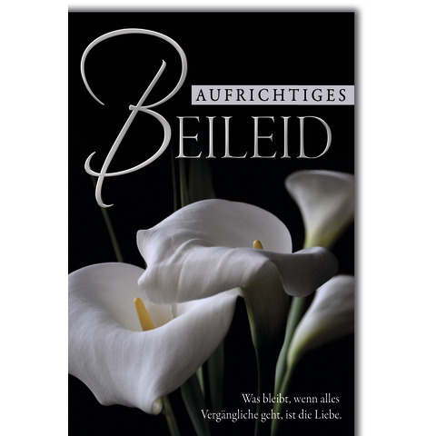 Blume, Pflanze, Buch, Veröffentlichung, Blütenblatt