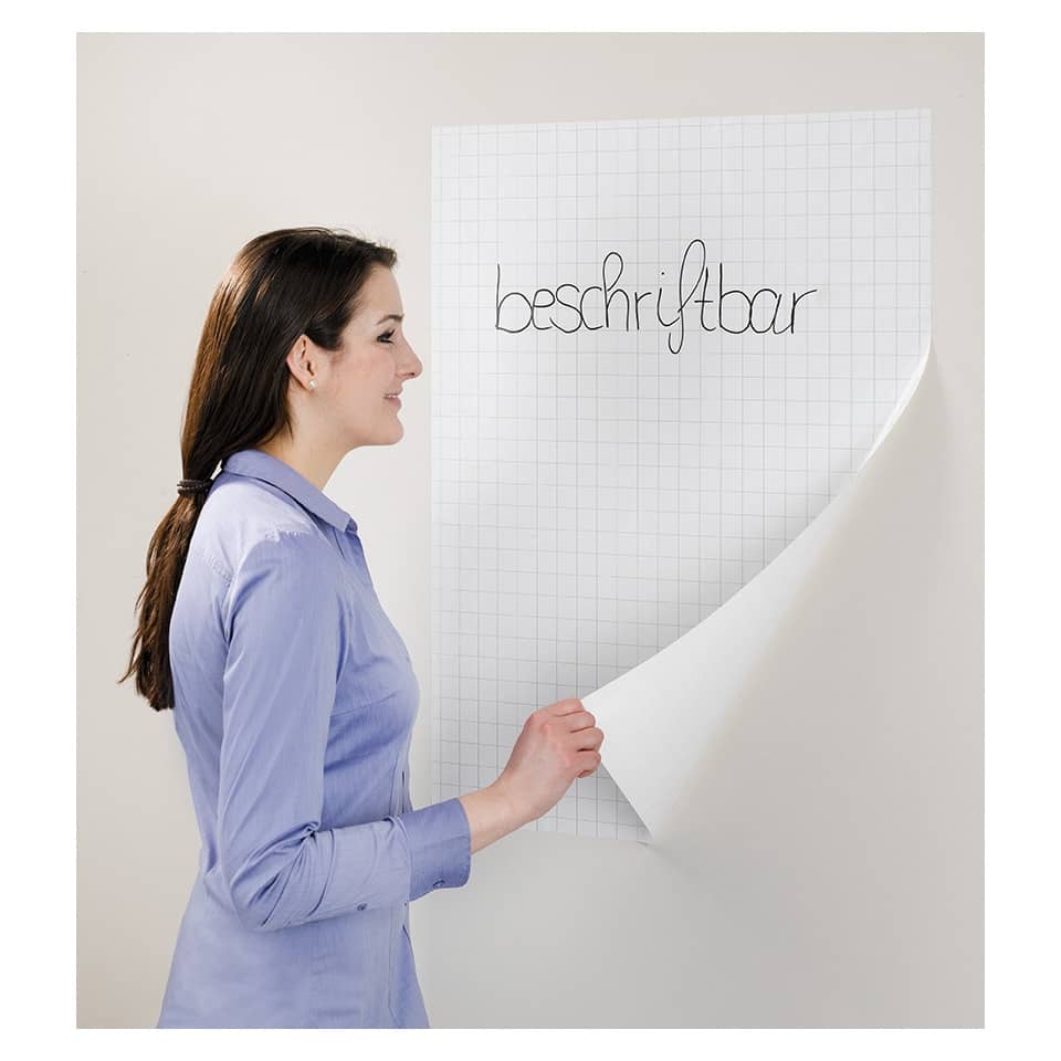 frau, wandposter,  rasterpapier, gerolltes plakat, blaueshemd